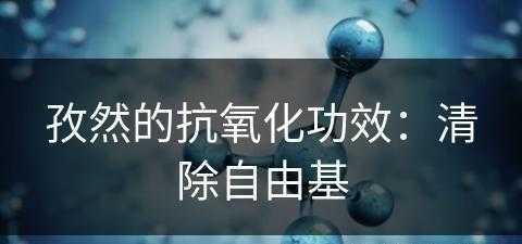 孜然的抗氧化功效：清除自由基